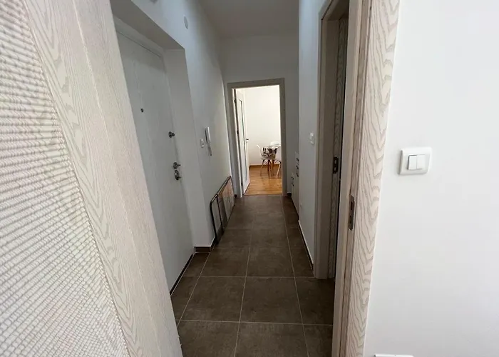 Golden Parrot * Podgorica